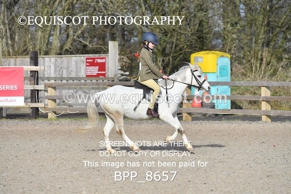 BPP_8657 - TRAINING STAKES