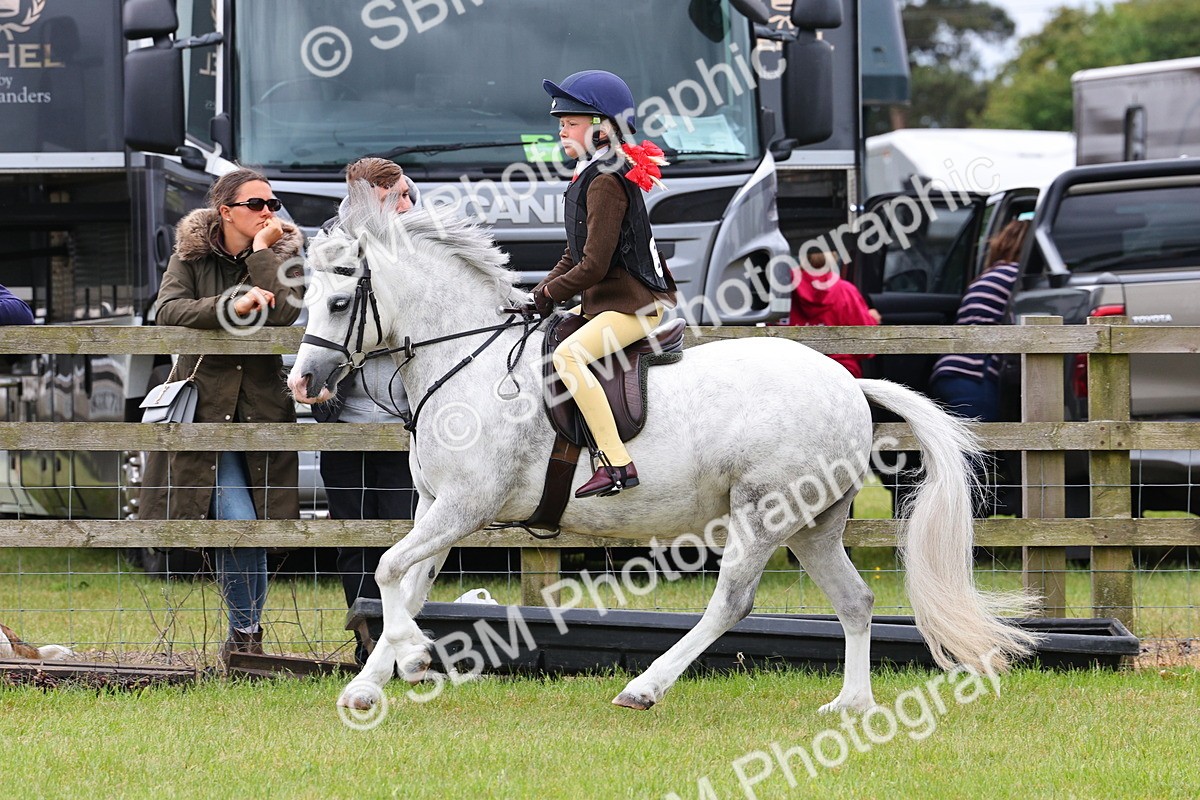 SBM_08627 - Class 42-43 - LIHS BSPS Heritage Working Sports Pony