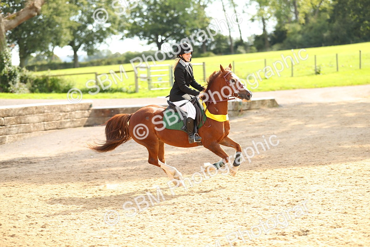 SBM_68044 - J17 - Junior Pony 80cm Championship