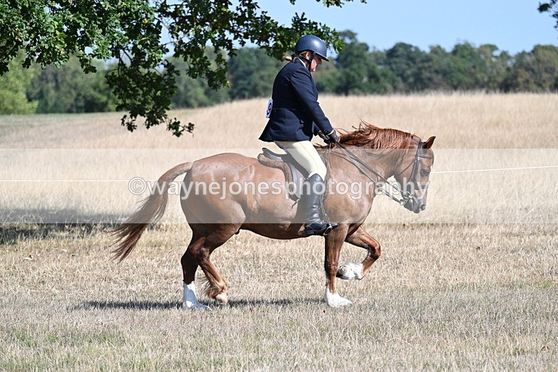 WJ7_3857 - Class 9 Mountain & Moorland Ridden