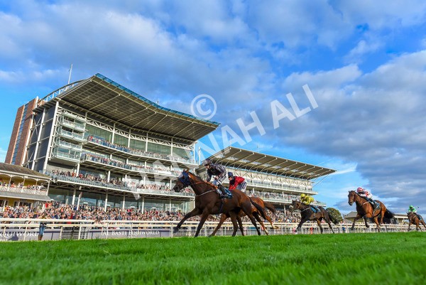 230923-Race 7-Two Brothers-3516 - Race 7 5.30pm Neil Atkinson's 60th Birthday Celebration Handicap