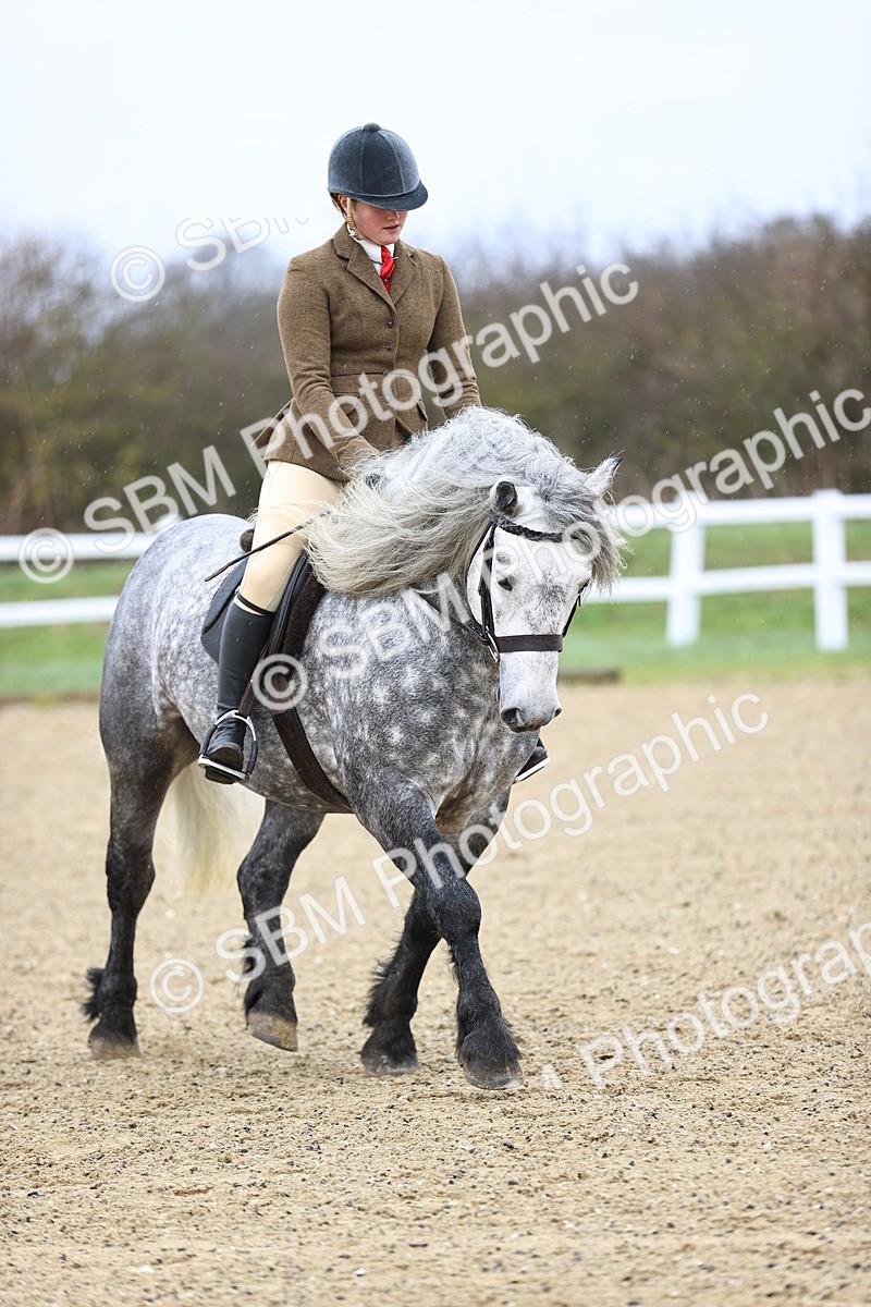 SBM_007569 - Class 31-32 - M&M Confined Novice Small-Large