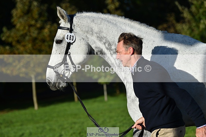 231022-094822-22043 - 463-HOLOGRAM.SCAIS-Chris.Brentnall-TrotUp+SJ