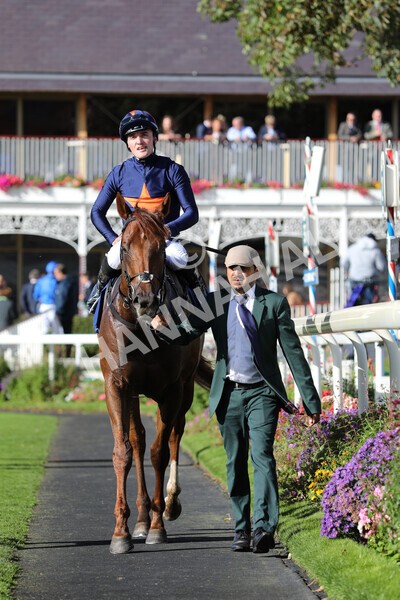 yr08102022r3-51 - Race 3 2.40pm The Coral 'Beaten-by-a-Length' Free Bet Handicap