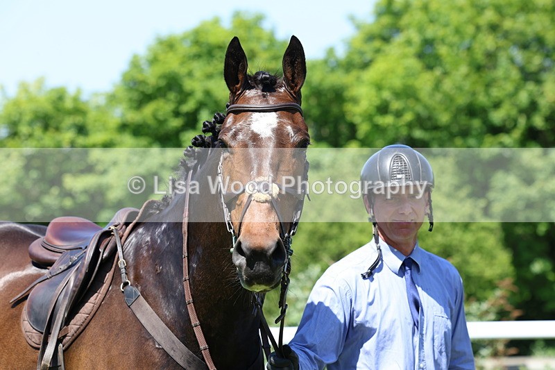 3E7A7369 - Class 30: Novice Working Hunter