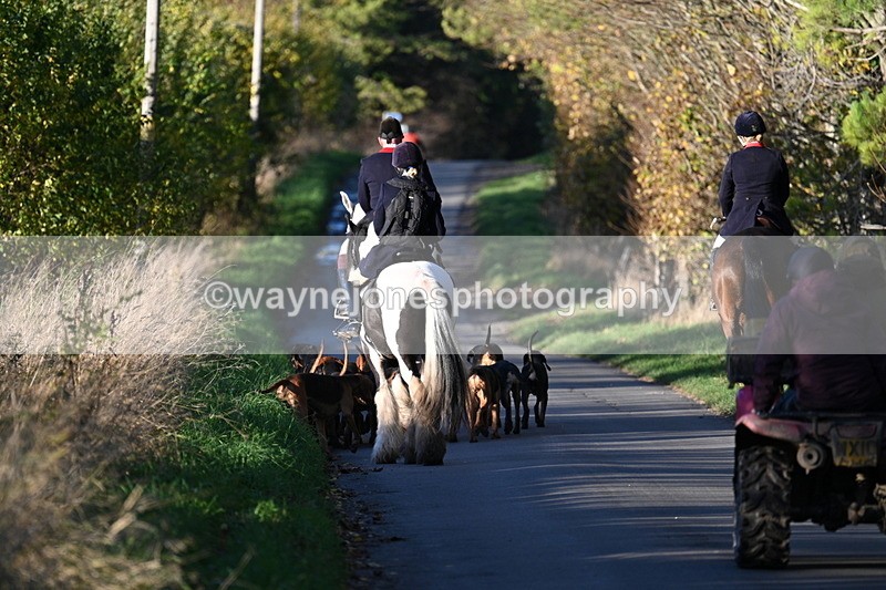 WJ7_8657 - Walk Home