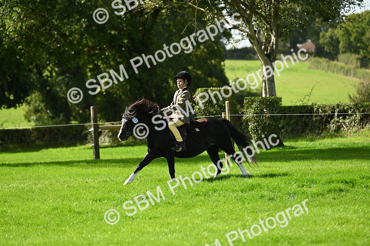 SBM_02794 - S3 - TSR Ridden Pony Showing