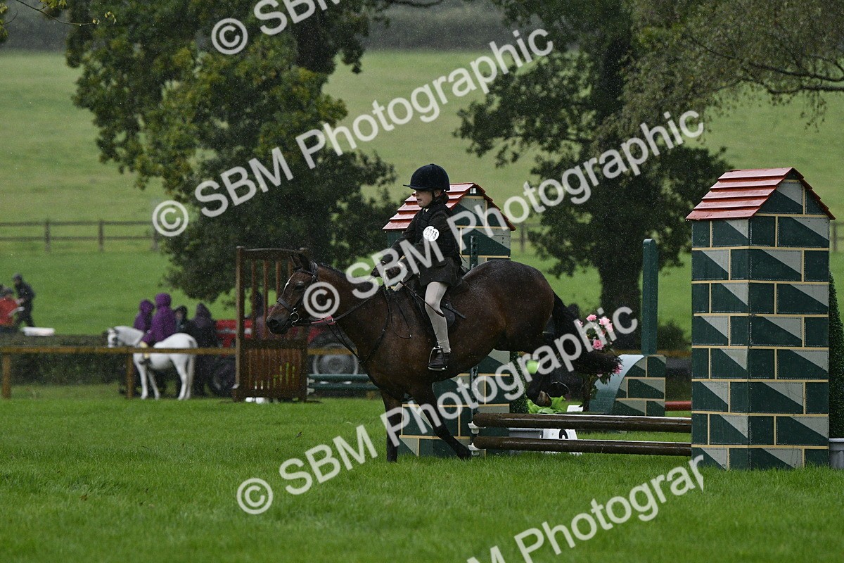 SBM_35504 - S30 - Nursery Stakes Working Hunter Pony