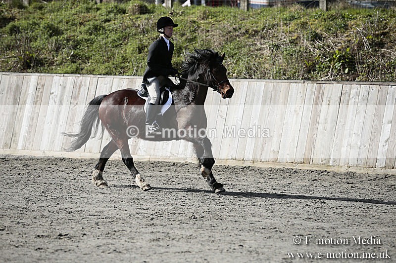 BVRC SJ 170319 249 - Bourne Valley Riding Club Showjumping 17/03/19