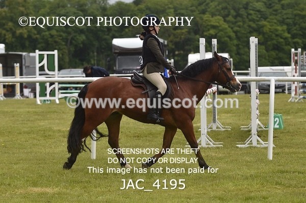 JAC_4195 - WORKING HUNTER CHAMPIONSHIP
