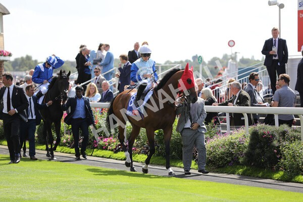 yr20082022r1-15 - Race 1 1.50pm Sky Bet & Symphony Group Strensall Stakes