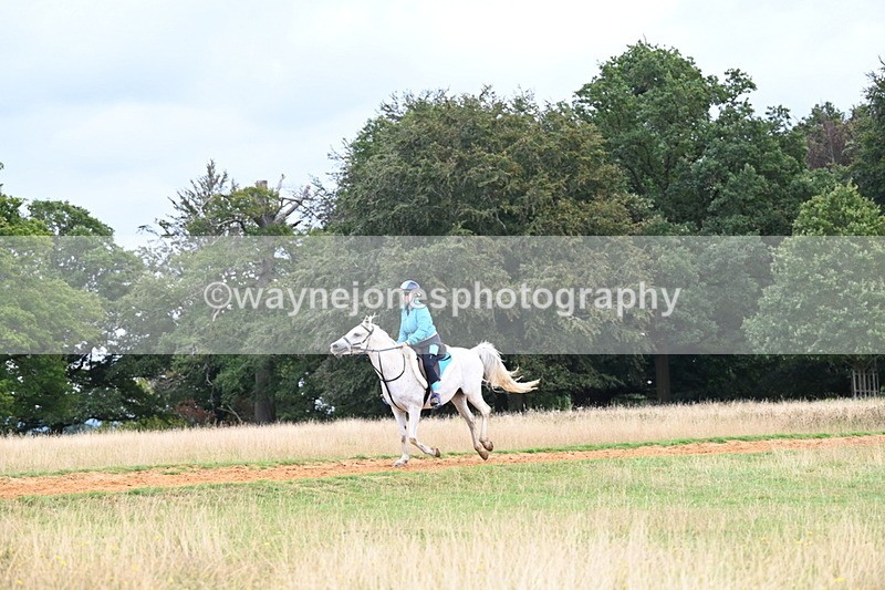 DSC_5010 - Time at Statue 11:10 to 11:42