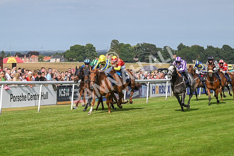 140824-Race 6-Glistening Nights-6865 - Race 6