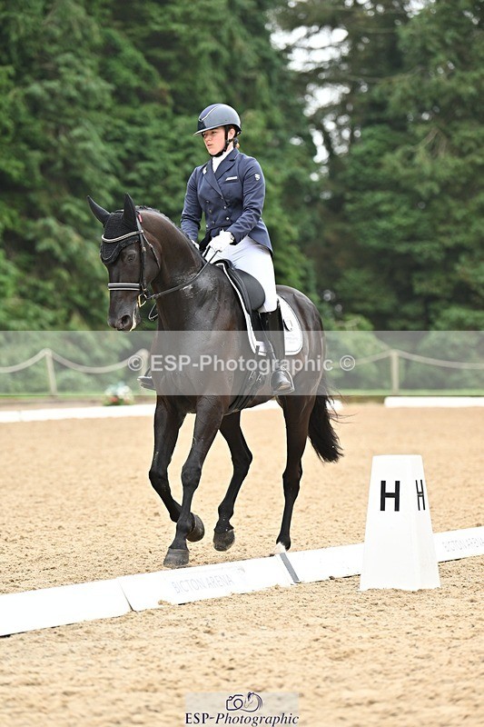 240811-120144-05319 - 118-Katie.Kneen-Springtime.Evergreen