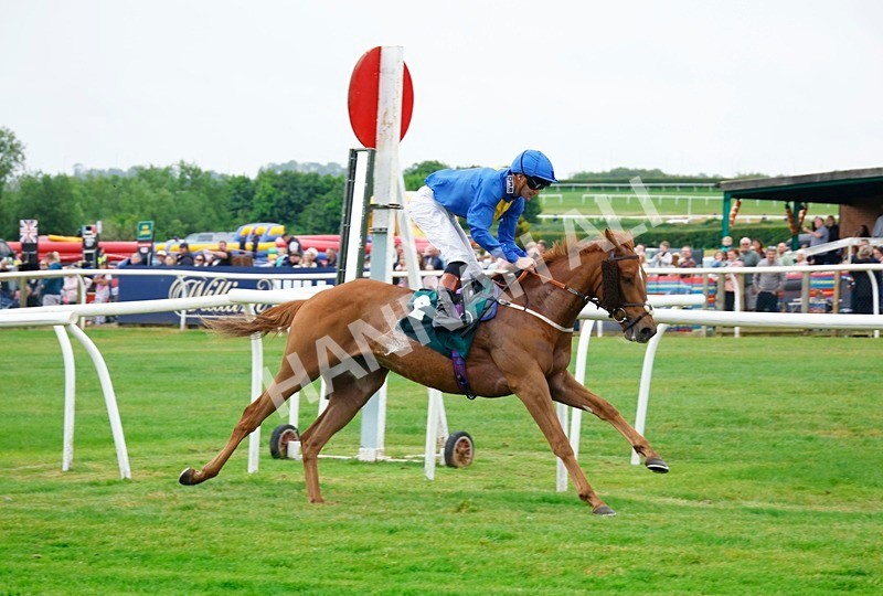 240525-Race 2-Hype Merchant-7 - Race 2