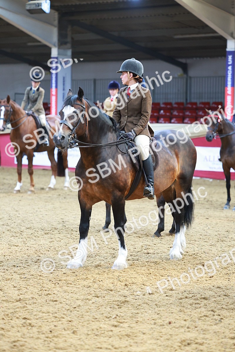 SBM_12670 - Class 103 - HOYS Veteran Qualifier - Ridden Pre Vet