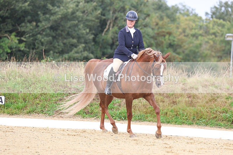 3E7A1924 - Class 1: Intro 4 2024 section A