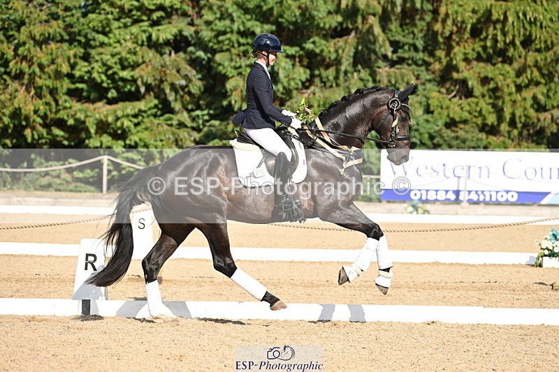 250808A-170450-02252 - Preliminary GOLD Presentations