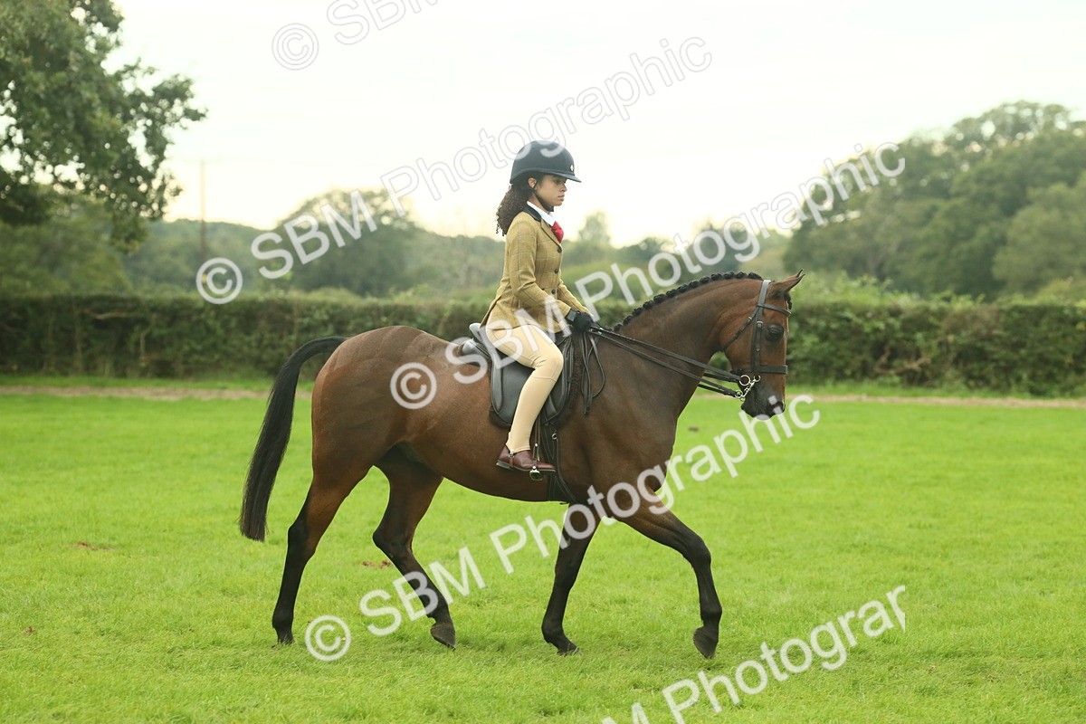 SBM_73926 - S 61 - Show Pony & Show Hunter Pony Ridden