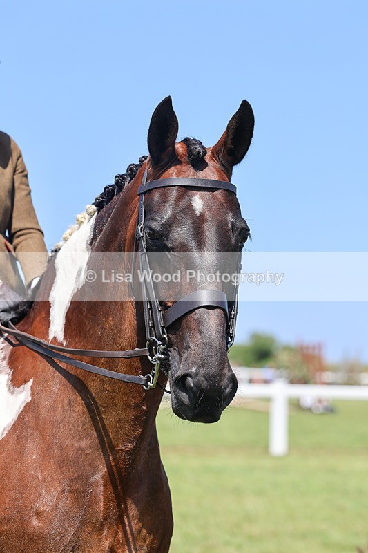 IMG_2538 - Class 38: Veteran Ridden