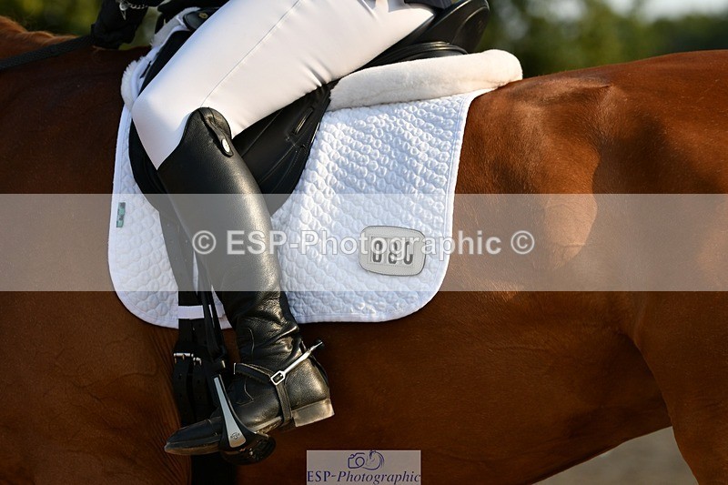 250817-085807-06701 - 080-Elizabeth.StoneZiggy