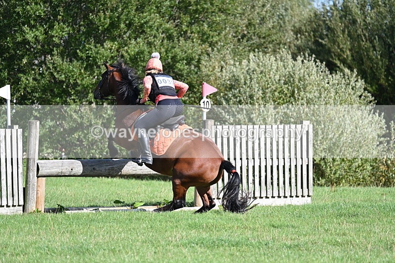 WJ7_1310 - Time 13:56 to 14:24