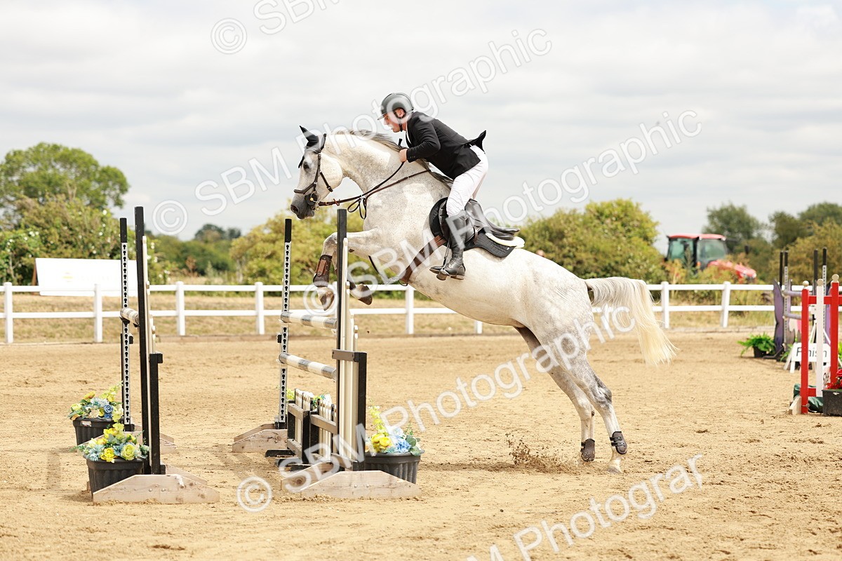 SBM_017817 - Class 21 - Senior Newcomers Championship 2d Rd