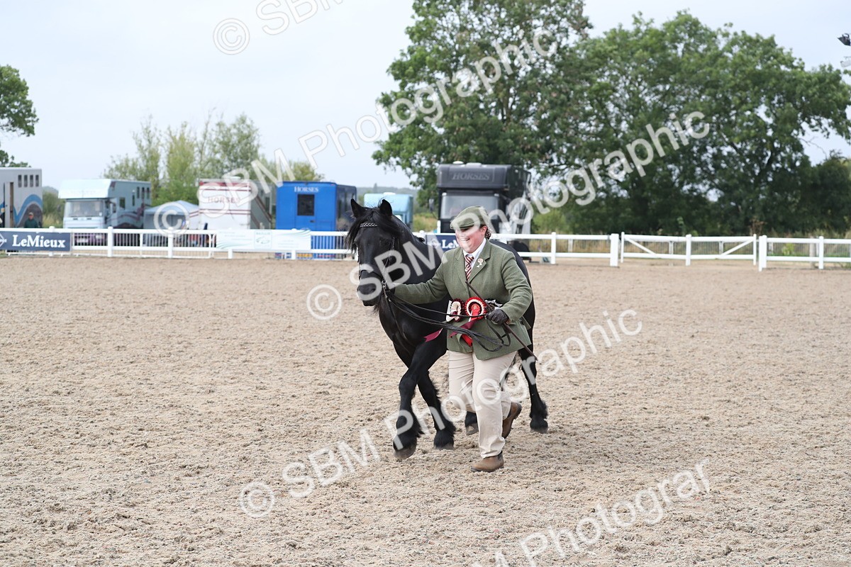 SBM_23349 - Class 606 - 2025 Area - IH Pre Vet