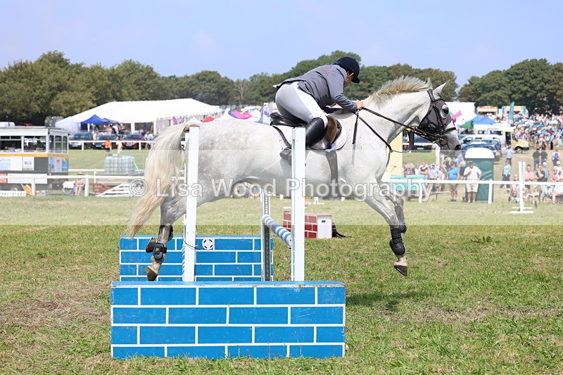 3E7A2911 - Class 7: Senior British Novice/90cm open