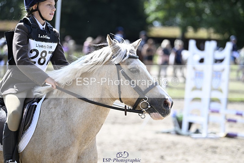 240823X-120609-16368 - 60cm R2 11.00 to 12.30