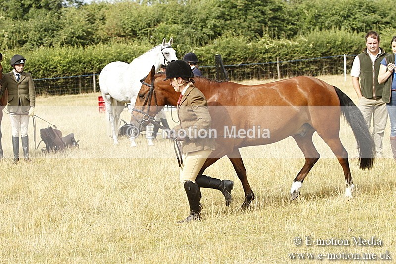 _BS_0512 - BVRC Show 2018 Ring 3