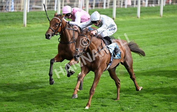 210825-178 Charlottes Web - Race 5 4.10pm British EBF & Sir Henry Cecil Galtres Stakes