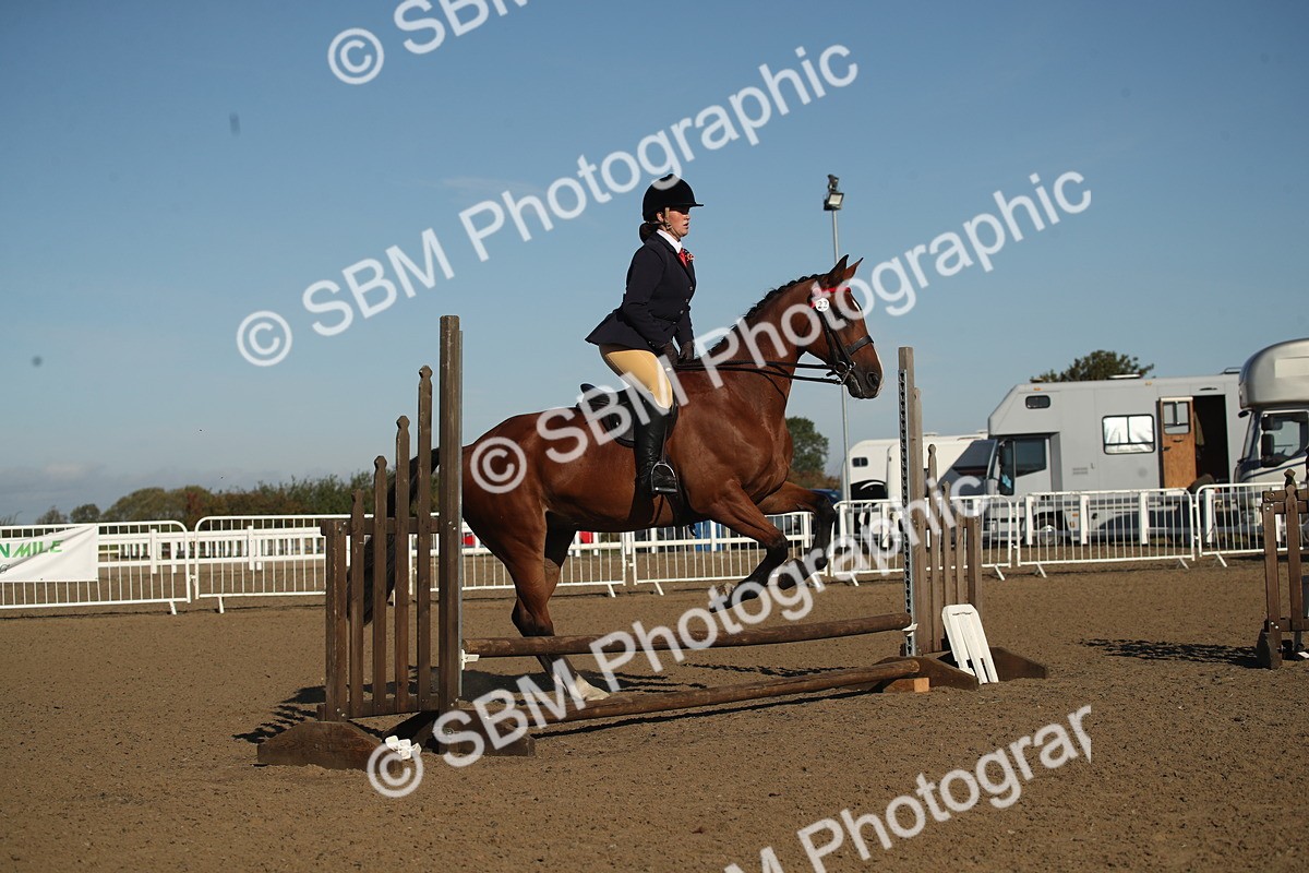 SBM_11332 - Class 501 -Riding Club Pony