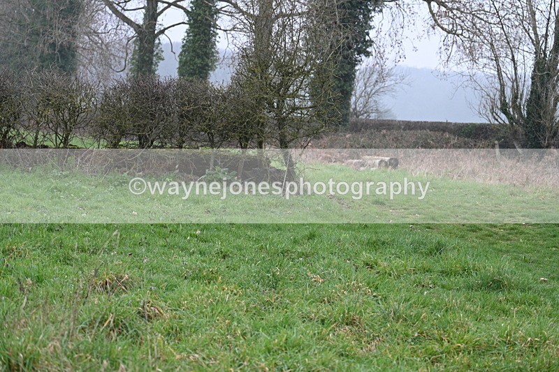 WJ7_0284 - Line 2 cam A