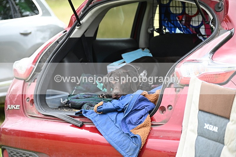 WJ6_4087 - Time at Jump 12:22 to 13:03