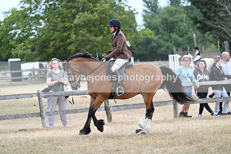 WJ7_0583 - Class 6 Ridden Mountain and Moorland