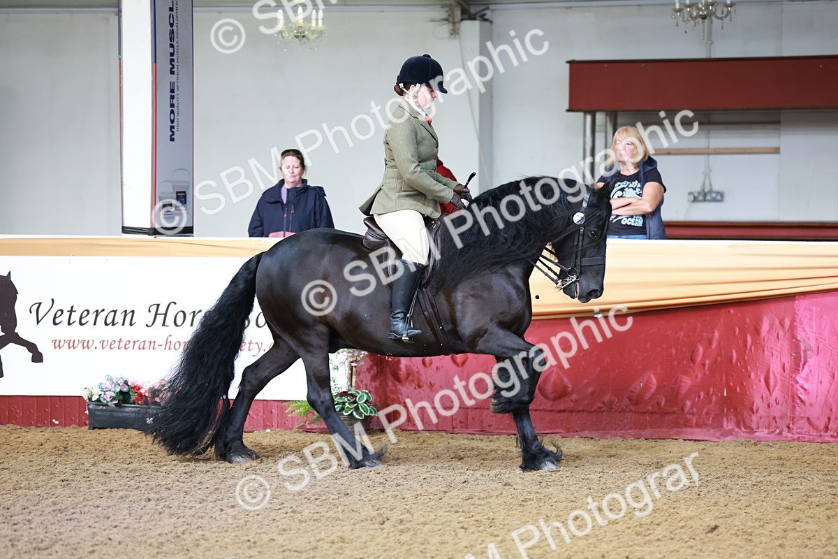 SBM_11872 - Class 102 - Equitation (Best Rider) Adult