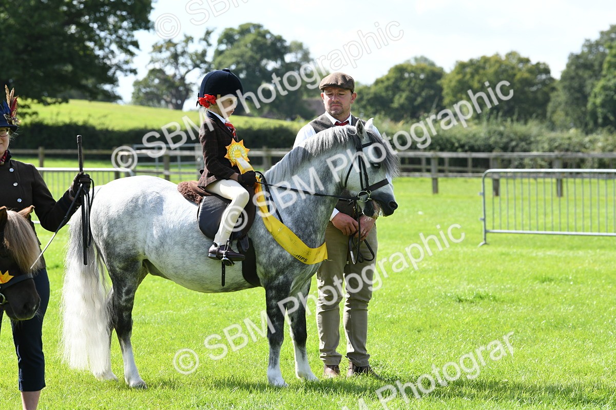 SBM_44270 - Lead Rein Supreme Championship