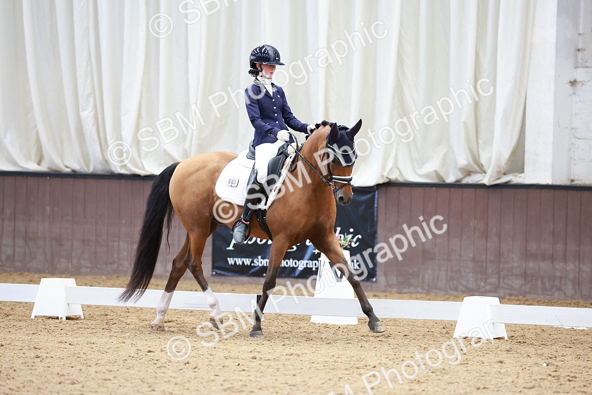 SBM_017266 - Class15 - FEI Pony