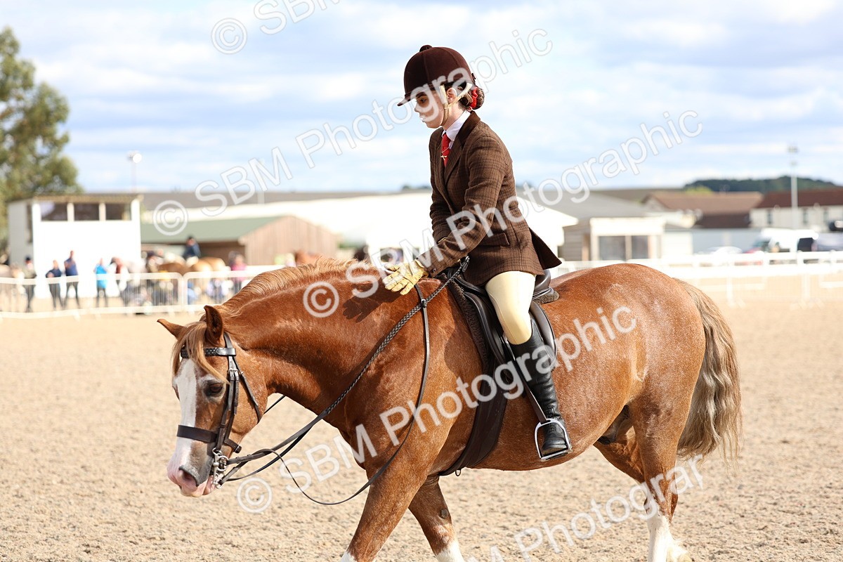 SBM_17586 - Class 316 - Best Pony - Rider Combination