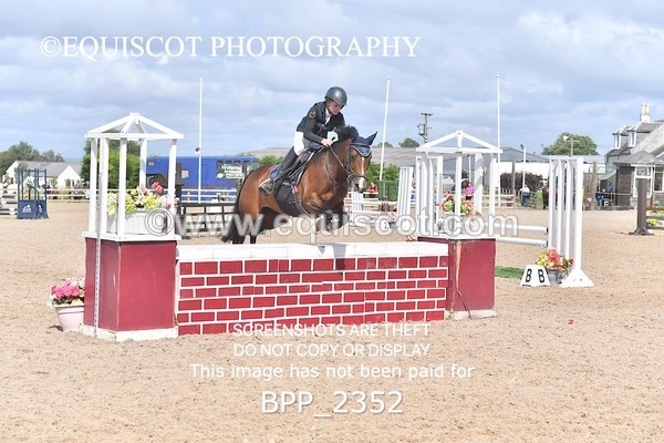 BPP_2352 - DERBY CLASS 7 - 80CM