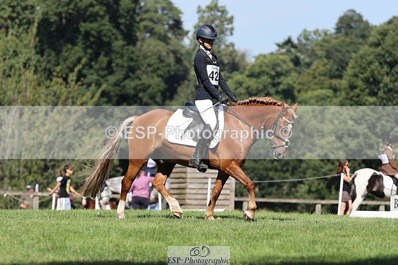 250823A-103624-27746 - Arena D