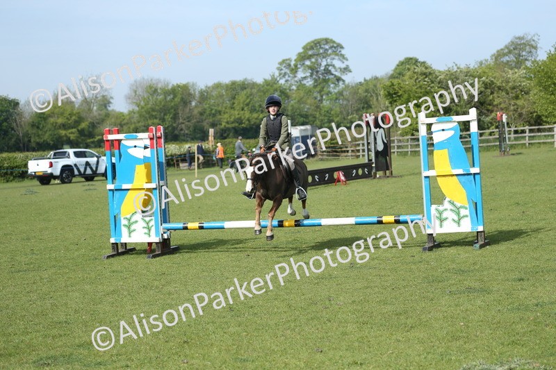20260426-0223 - Class 13 - Rookie Jumping 50cm