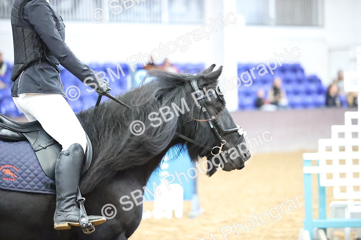 SBM_000181 - Class 2 - The Rug Lady 40cm Area 12 Championship Qualifier