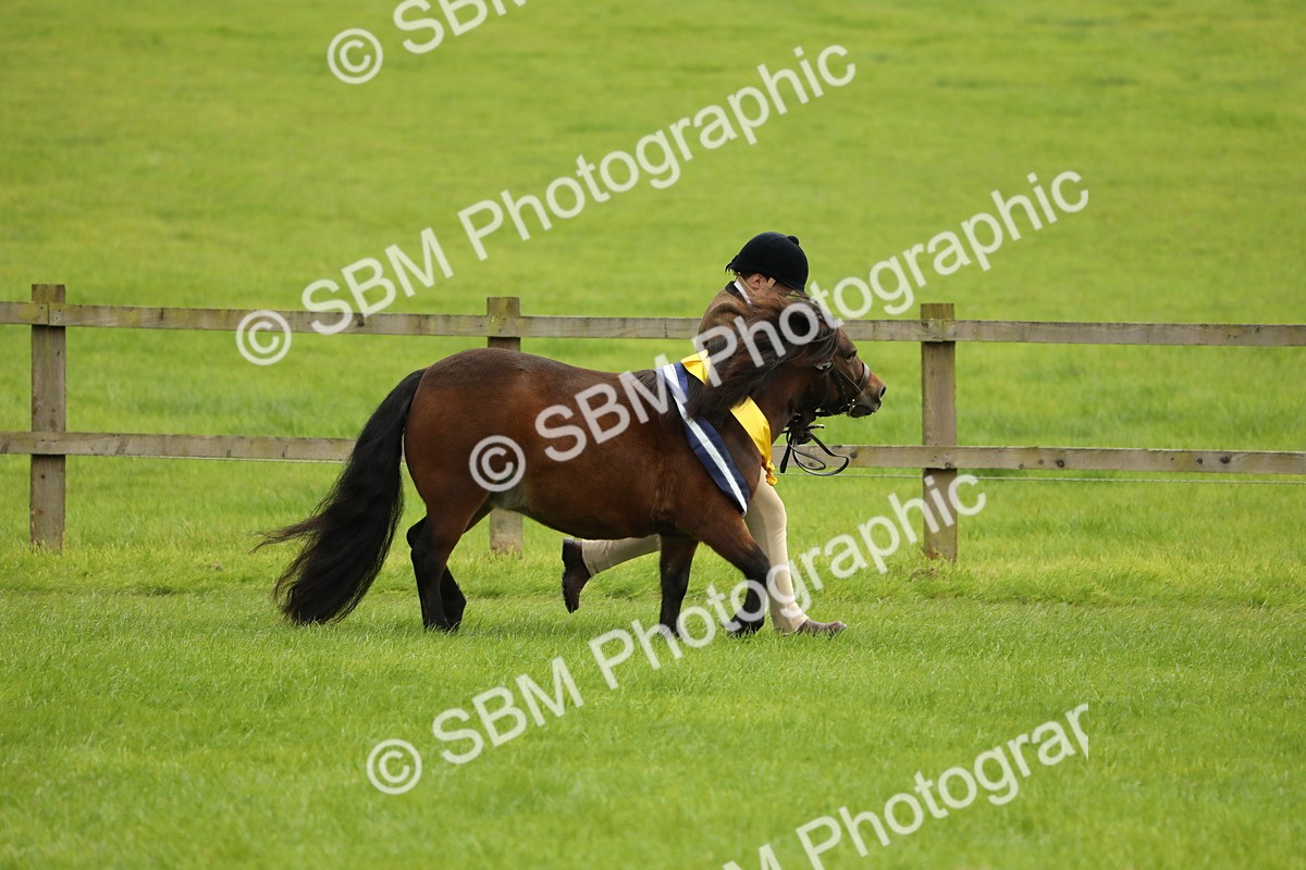 SBM_75409 - Equitation Supreme Championship