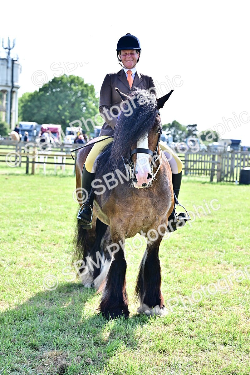 SBM_09501 - Class 63-65 - Traditional Gypsy Cobs In Hand & Ridden