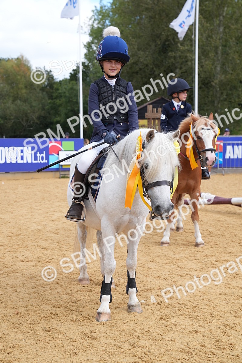 SBM_64534 - J2 - Mini Tour Junior Pony 30cm Championship