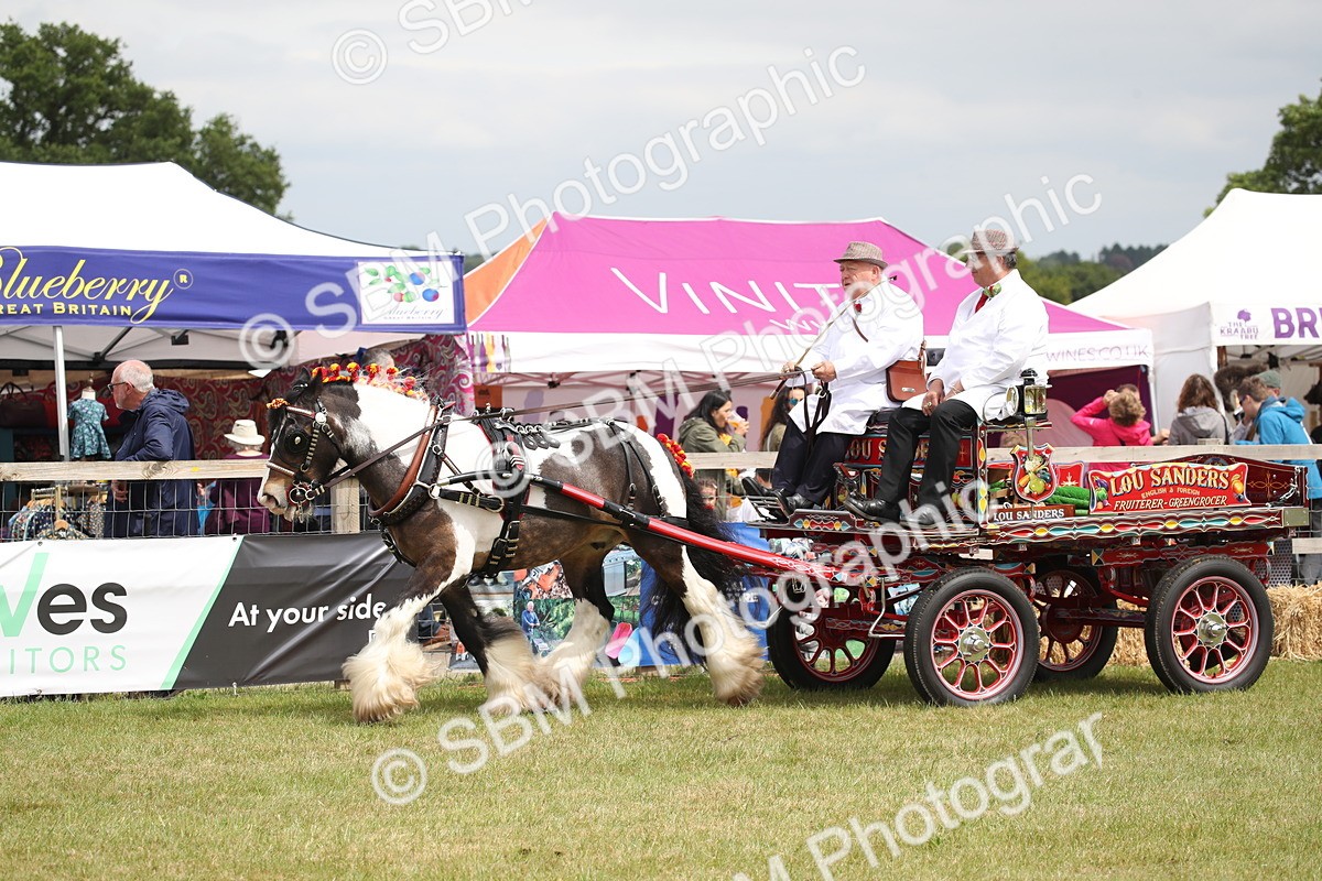 SBM_07013 - Class 16 - Light Trade