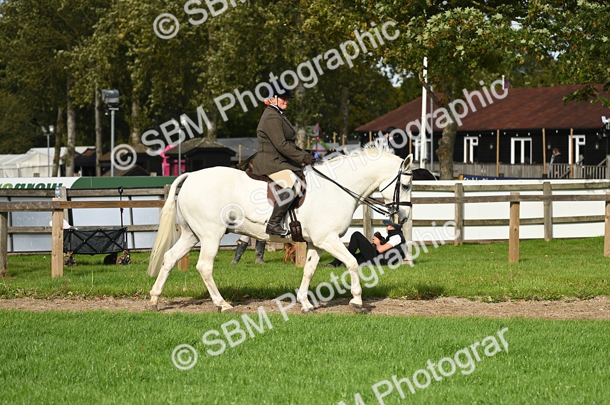 SBM_26288 - S6 - Novice & newcomer Ridden horse