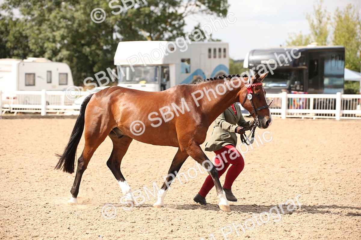SBM_04543 - Class 20 IH Veteran